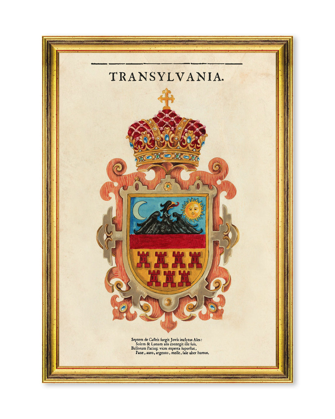 Transylvania Saxon Crest Large Framed Art