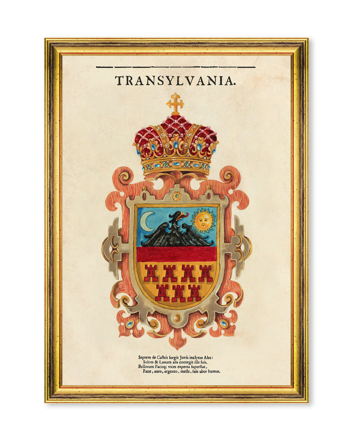 Transylvania Saxon Crest Large Framed Art