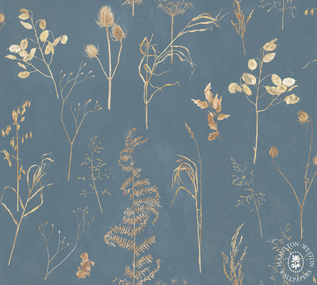 Hamilton-weston-wallpaper-Flora-Roberts-Autumn-silhouettes-leaves-ferns-grasses-faded-floral-woodland-elegant-sparse-design-nightfall-beige-against-dusk-blue