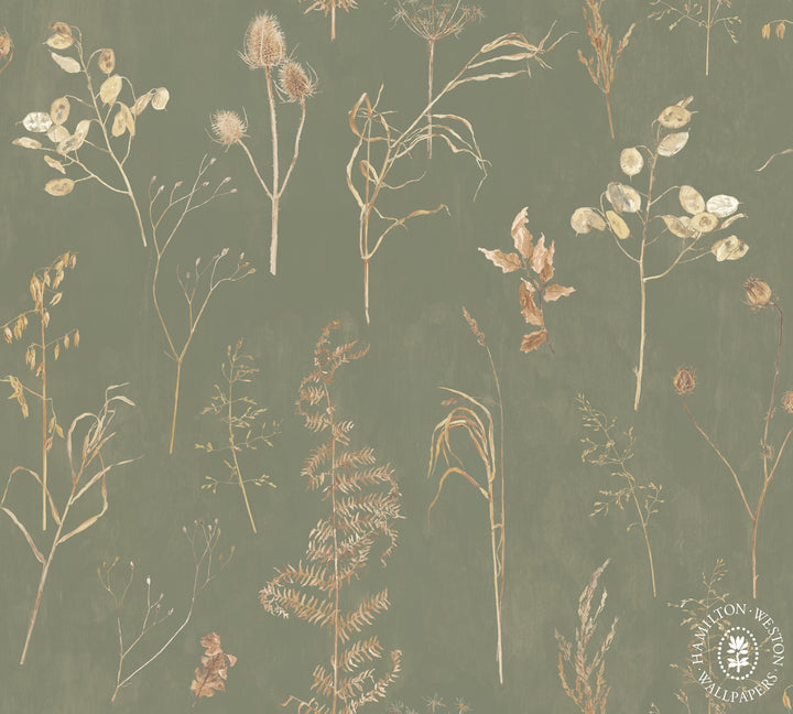 Hamilton-weston-wallpaper-Flora-Roberts-Autumn-silhouettes-leaves-ferns-grasses-faded-floral-woodland-elegant-sparse-design-fern-beige-against-moss-grenn-background