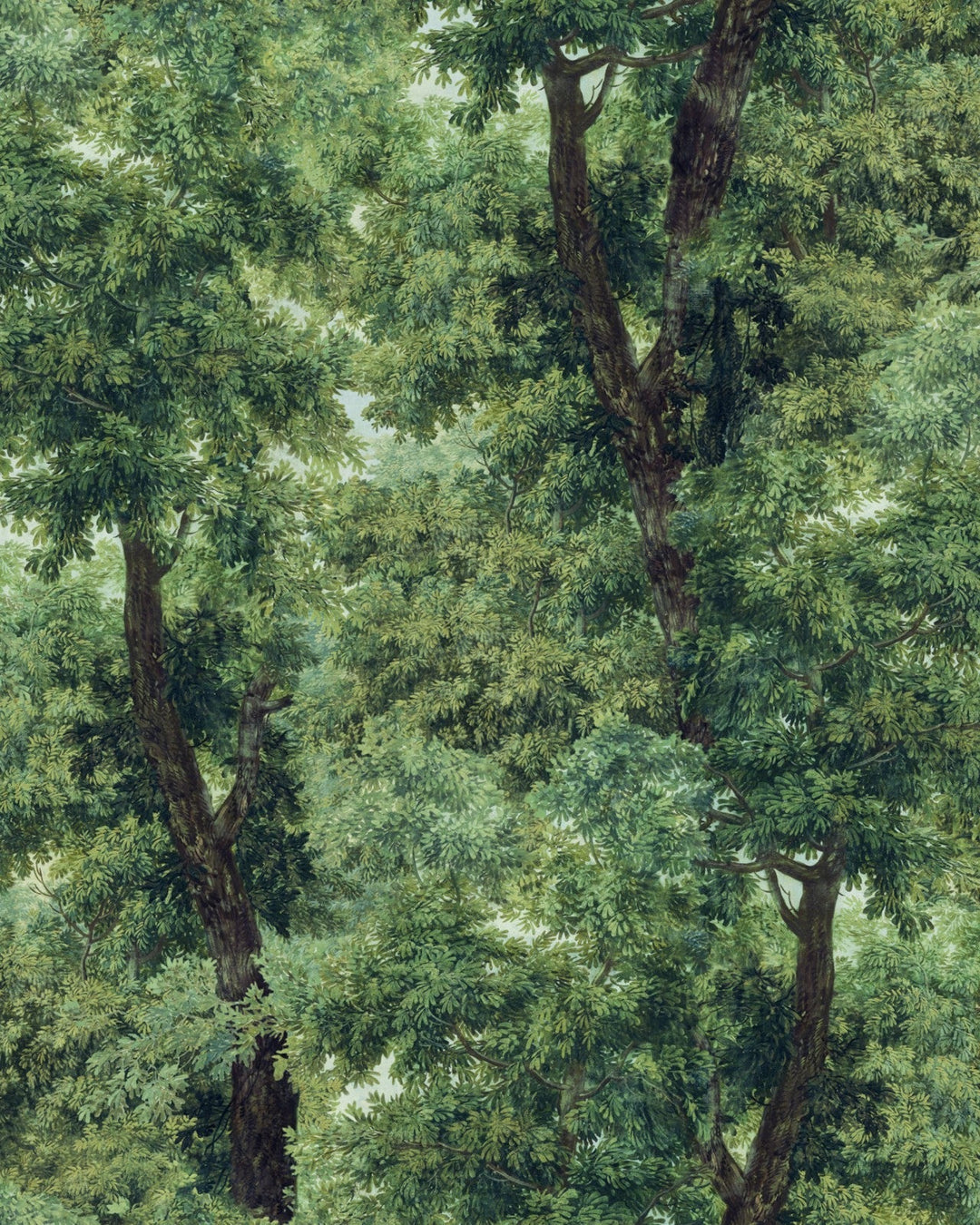 Mind-the-Gap-wallpaper-Branchy-leafy-dense-forest-woodland-illustrated-mural-style-forest-trees-leaves-woodland-scene-elegant-full-wall-forest-print-meadow-green
