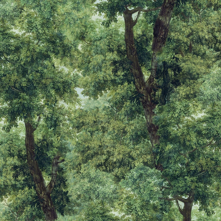 Mind-the-Gap-wallpaper-Branchy-leafy-dense-forest-woodland-illustrated-mural-style-forest-trees-leaves-woodland-scene-elegant-full-wall-forest-print-meadow-green