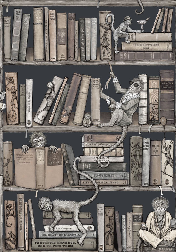carnival-fever-brand-mckenzie-monkey-library-reading-shelves