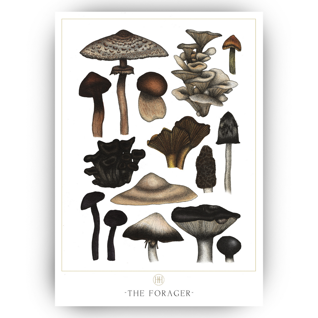 the-forager-fine-art-print-a3-made-in-england-hex-henbane-mushroom-fungi-art