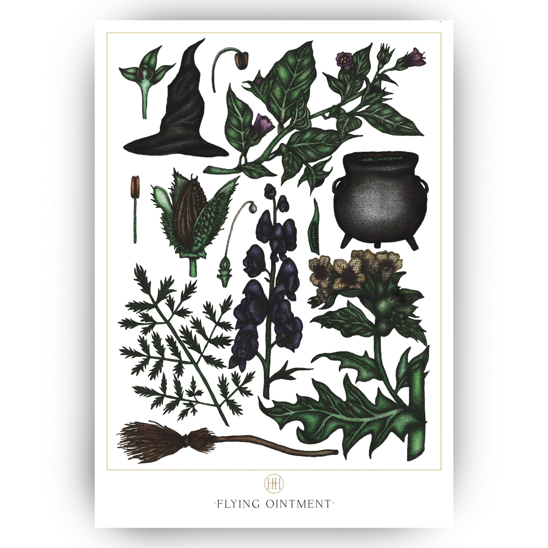 flying-ointment-fine-art-print-a3-witches-cauldron-thistle-witches-hat-thistle-leaves-witches-magic-art-print