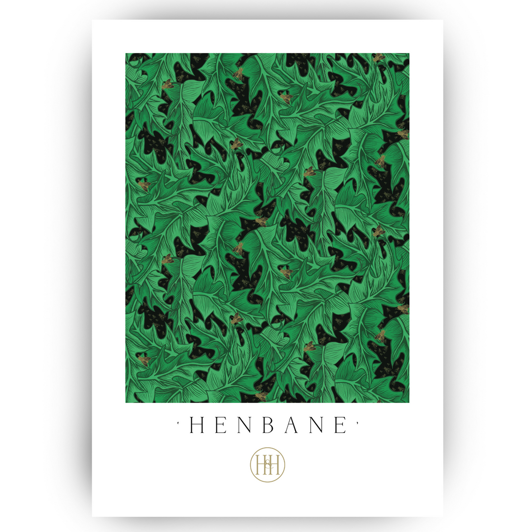 'Henbane' Fine Art Print A3