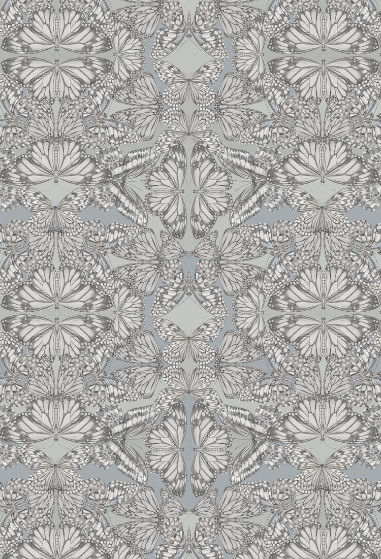 Victoria-Sanders-Papilio-butterfly-kaleidoscopic-print-hand-drawn-repeat-wallpaper-nimbus-blue-greys