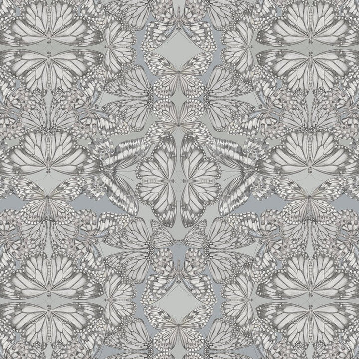 Victoria-Sanders-Papilio-butterfly-kaleidoscopic-print-hand-drawn-repeat-wallpaper-nimbus-blue-greys