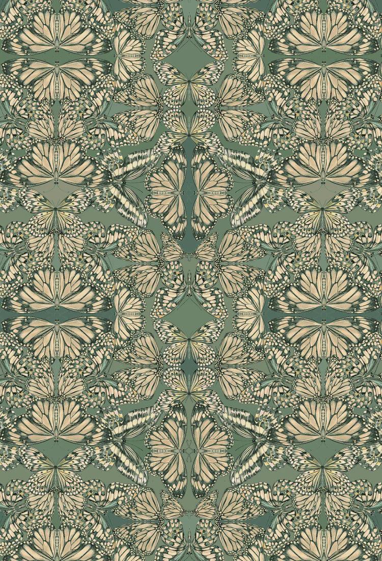 Victoria-Sanders-Papilio-butterfly-kaleidoscopic-print-hand-drawn-repeat-vert-green-wallpaper