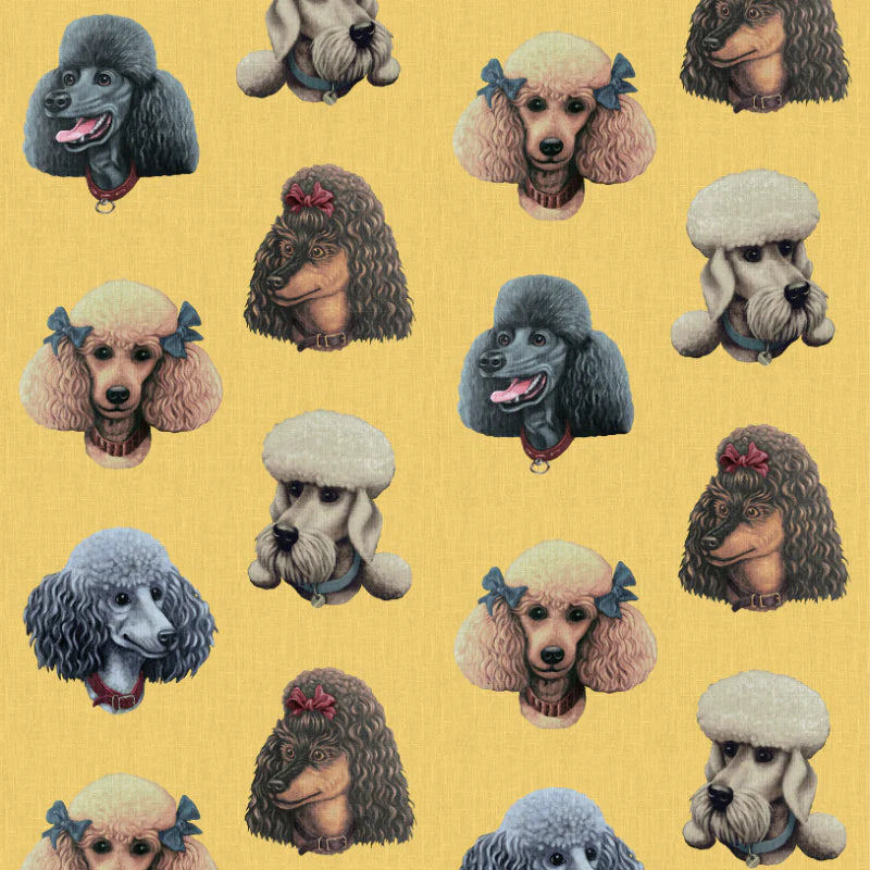 Poodle-and-Blonde-wallpaper-poodle-parlour-retro-yellow-five-poodle-portraits-wallpaper-design-retro-kitsch-illustrated-fun-wallpapers-poodle-and-blonde-wallpaper-poodle-parlour-five-poodle-potrait-illustrated-wallpaper-pattern-retro-kitsch-fun-playfull-retro-yellow-background