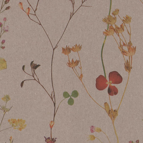 BN-Walls-Botanical-collection-trailing-spring-flowers-flowerpress-clover-leaves-blooms-pressed-wallpaper-delicate-BOT221340-taupe 