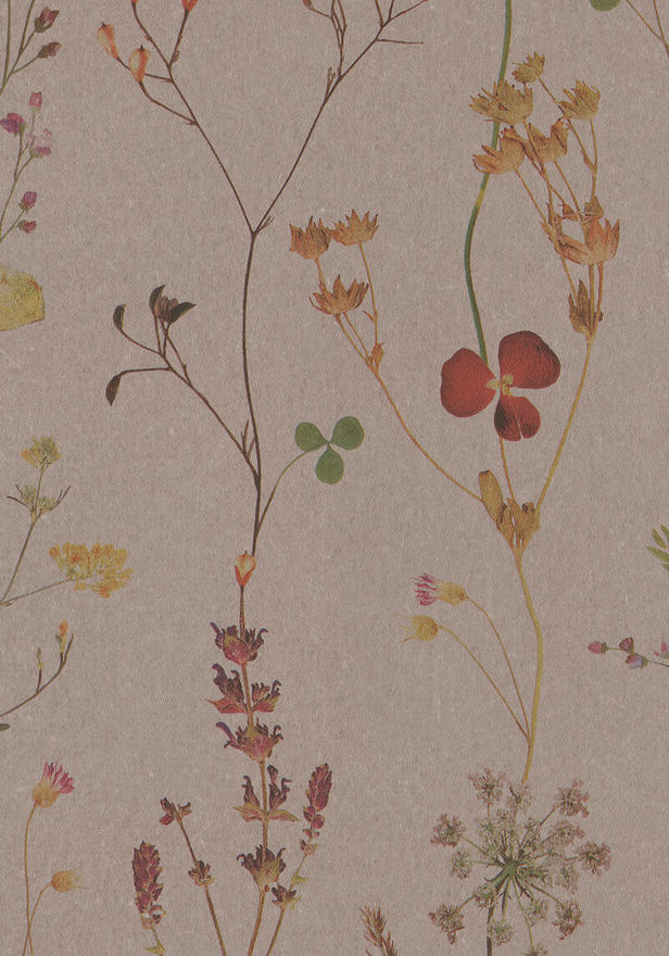 BN-Walls-Botanical-collection-trailing-spring-flowers-flowerpress-clover-leaves-blooms-pressed-wallpaper-delicate-BOT221340-taupe