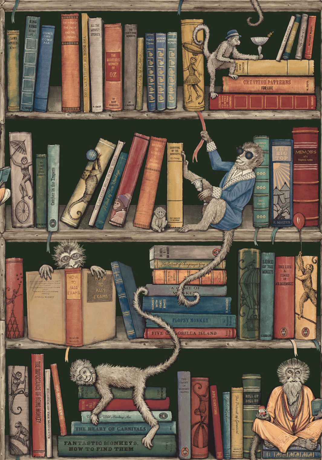 carnival-fever-brand-mckenzie-monkey-library-reading-shelves