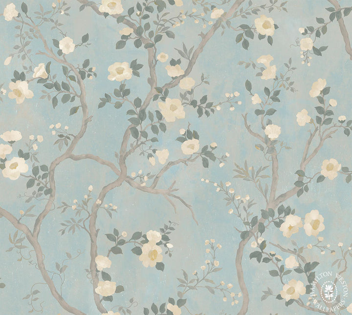 Hamilton-west-wallpaper-flora-roberts-camillia-trailing-blooms-soft-vintage-background-camillia-flower-leaves-branches-sky-blue