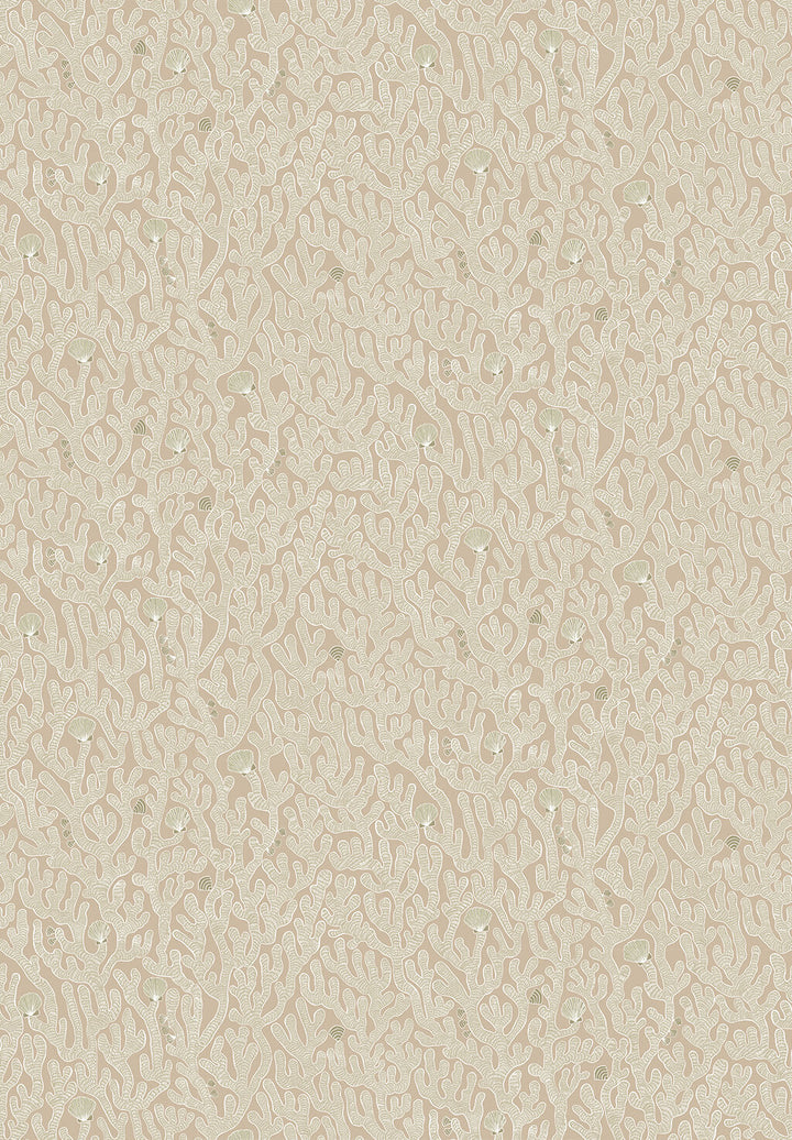 Josephine-munsey-wallpaper-coral-print-illustration-edge-sand