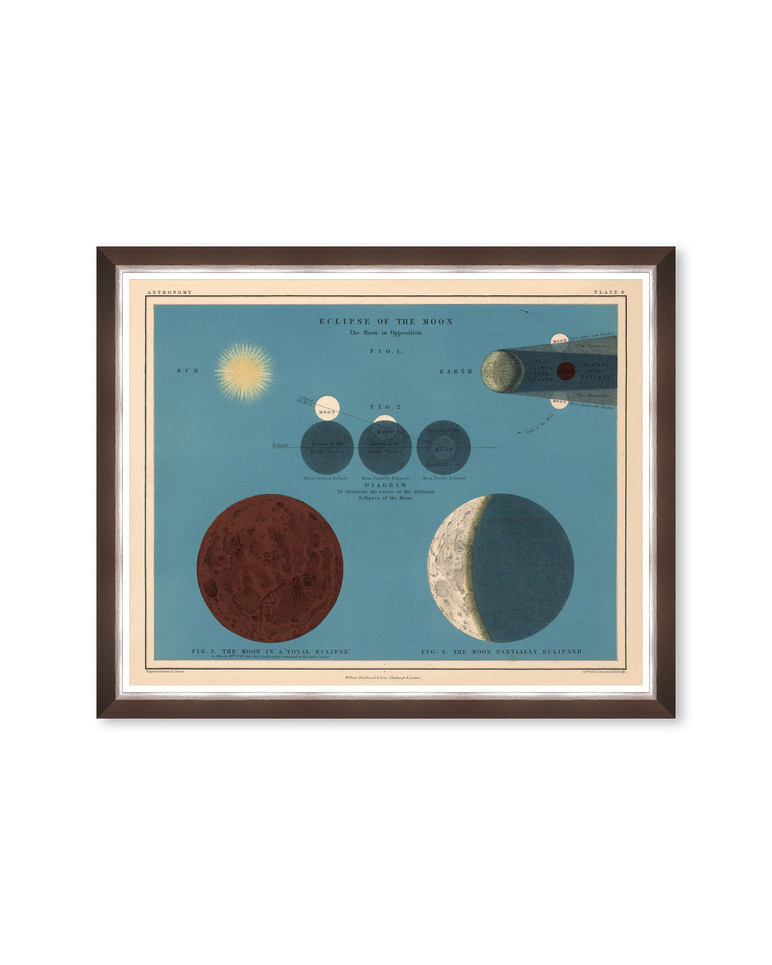 mindthegap-eclipse-of-the-moon-illustration-astronomy-vintage