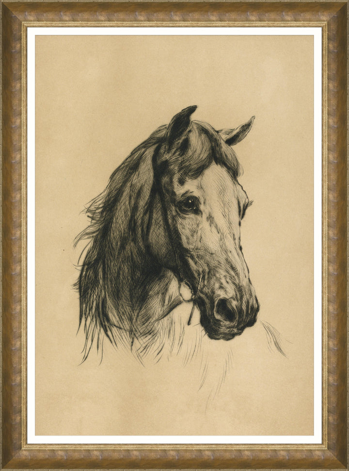 wall-art-head-of-a-horse-framed-art-by-heywood-hardy-mind-the-gap-antique-gold-frame