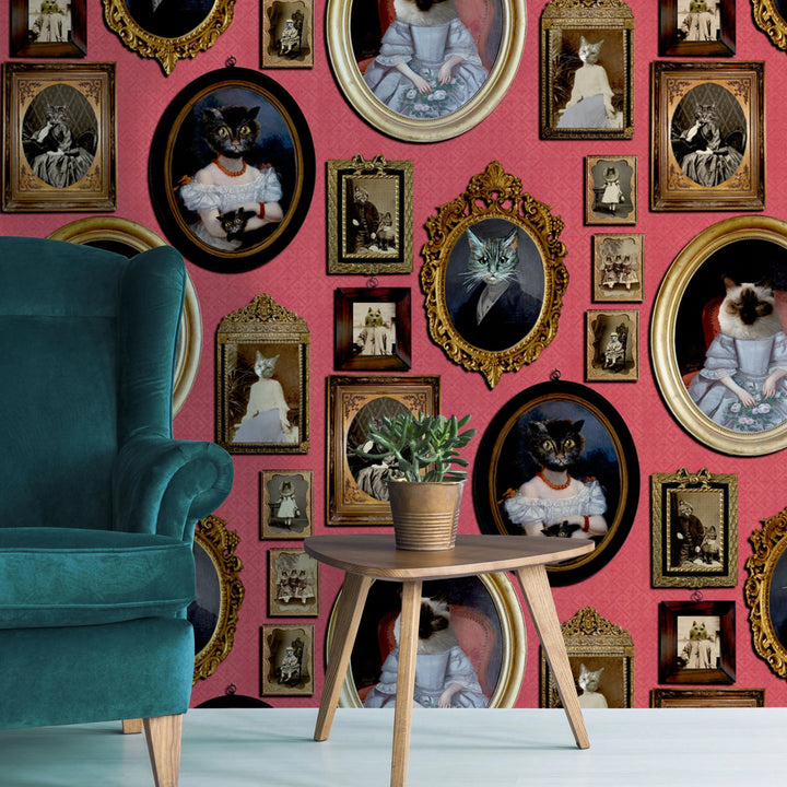 Cavalcade-of-cats-wallpaper-portraits-photoframed-kittens-family-blue-red-mustard-victorian-style-graduate-collection-Charlotte-Gore