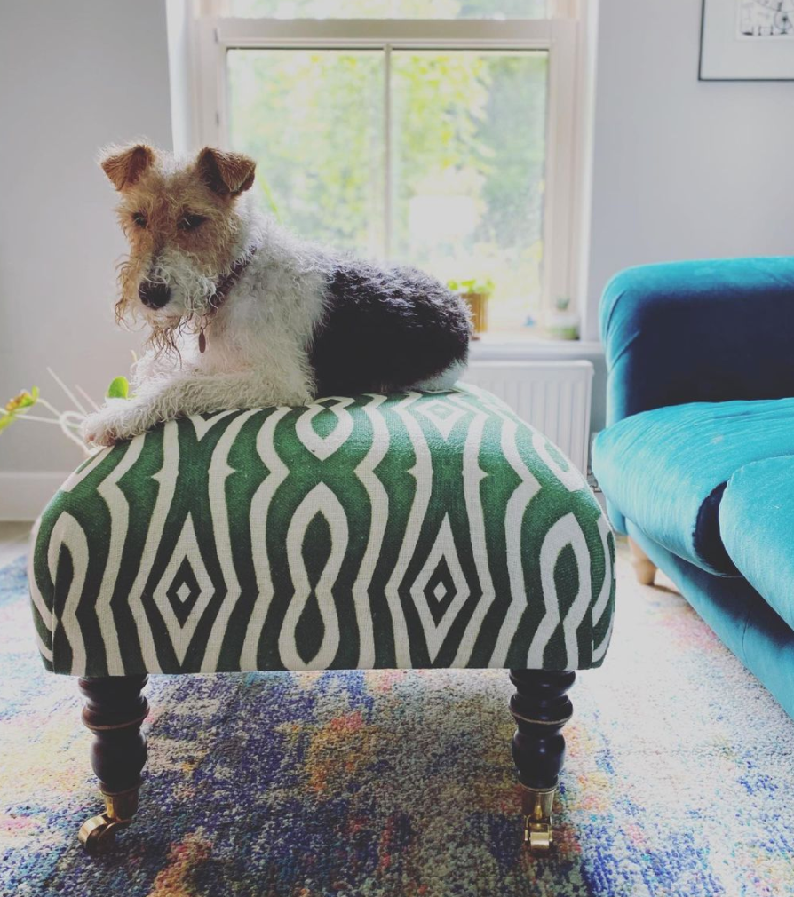hudson-upholstered-stool-green-and-white-riverside-fabric-mind-the-gap-dog-and-footstool
