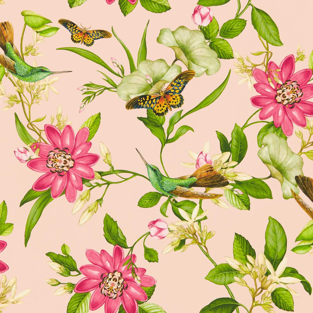clarke-clarke-wedgwood-floral-botanical-wallpaper-birds-butterflies-blush-pink-lotus-flower-wallpaper-wallcovering