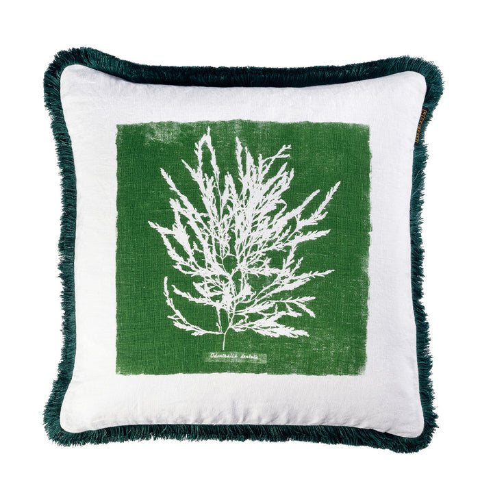mind the gap linen cushions algae I Palmera cubana green and white and fringe