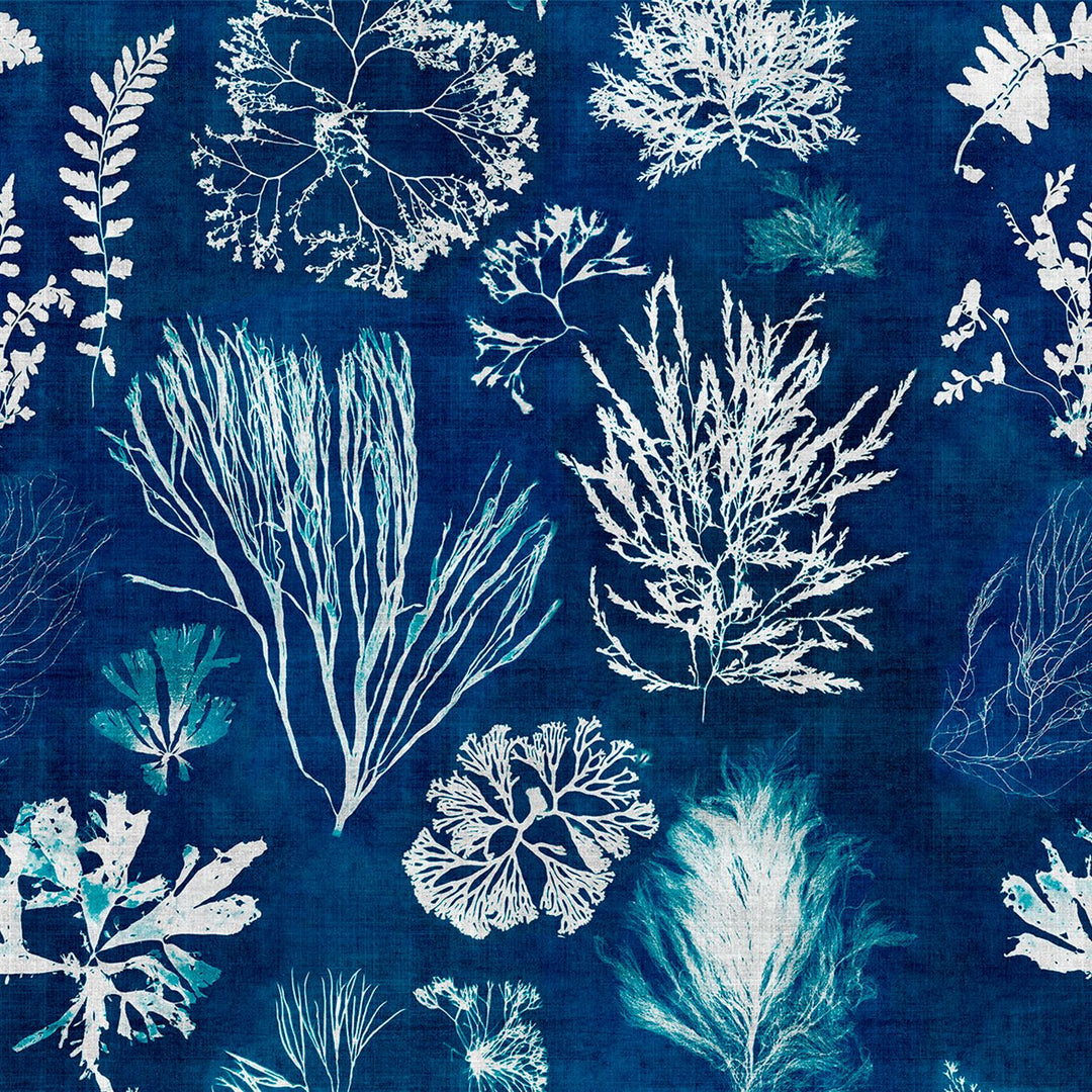 mind-the-gap-algae-navy-blue-wallpaper-atoll-collection-navy-blue-marine-life-shapes-silhouettes-maximalist-statement-interior