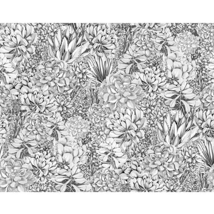 alpine-landscape-wallpaper-grey-mural-succulents-botanical-print-living-wall-wallpaper-monocrome -brand-McKenzie