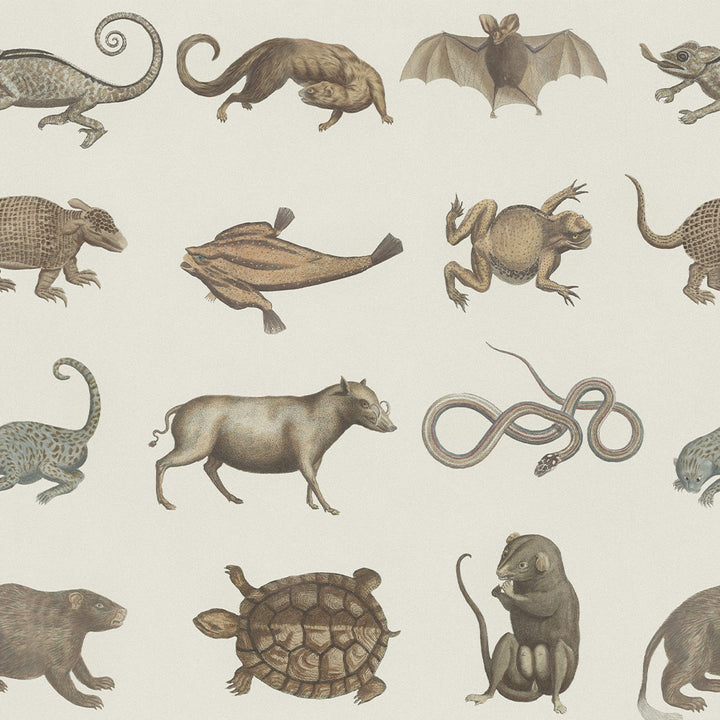 mind-the-gap-seba's-ark-wallpaper-animals-reptiles-snakes-bats-tortoise 