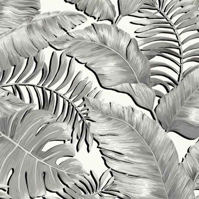 Banana-leaves-blackandwhite-junfgle-print-wallpaper-brandMcKenzie-palm-printed-oversized-monstera-featurewall