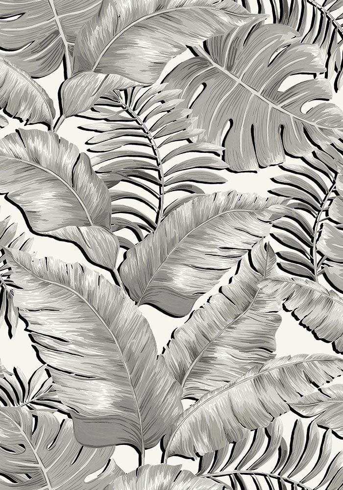 Banana-leaves-blackandwhite-junfgle-print-wallpaper-brandMcKenzie-palm-printed-oversized-monstera-featurewall
