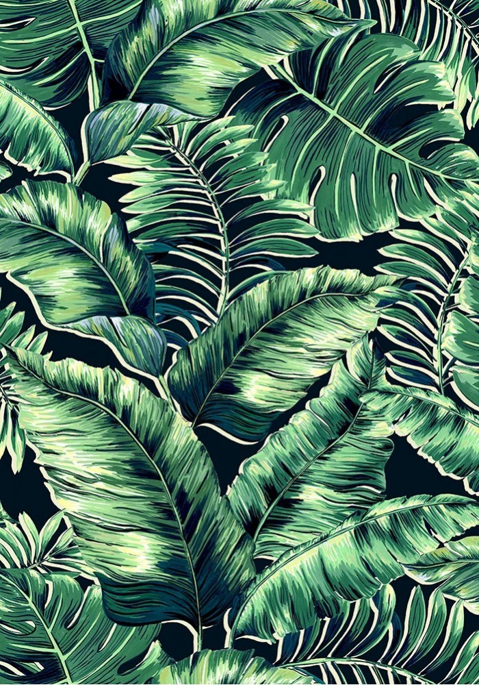 Banana-leaves-leaf-green-junfgle-print-wallpaper-brandMcKenzie-palm-printed-oversized-monstera-featurewall