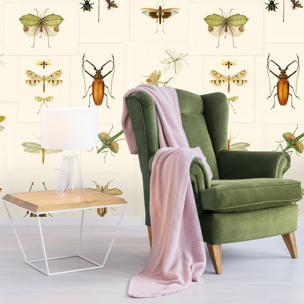 mind-the-gap-entomology-wallpaper-the-antiquarian-collection-insects-bugs-creatures-biophilia