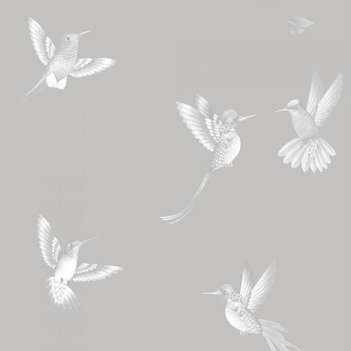 exotic-birds-concrete-grey-brand-McKenzie-wallpaper-hummingbirds-flying-bird-wallpaper-