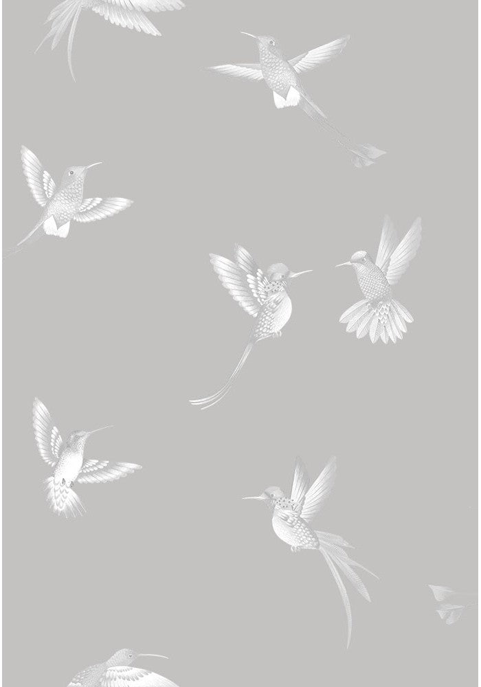 exotic-birds-concrete-grey-brand-McKenzie-wallpaper-hummingbirds-flying-bird-wallpaper-
