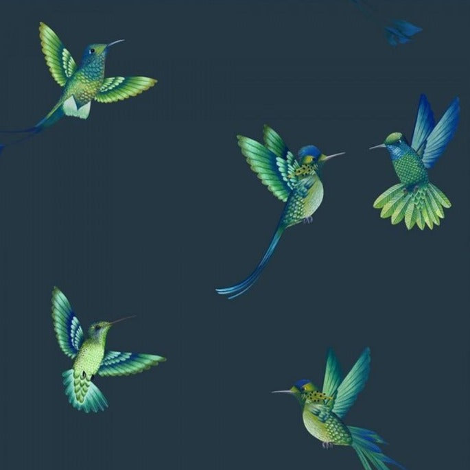 exotic-birds-midnight-blue-brand-McKenzie-hummingbird-wallpaper-petrol- teal-flying-birds-in-flight-pattern-repeat
