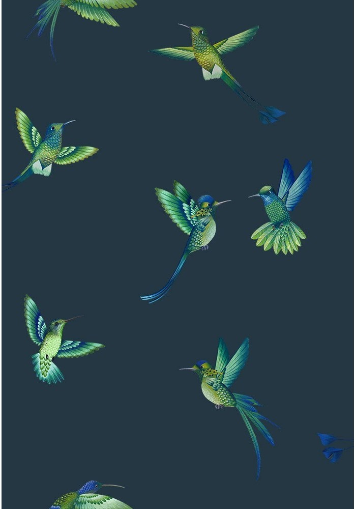 exotic-birds-midnight-blue-brand-McKenzie-hummingbird-wallpaper-petrol- teal-flying-birds-in-flight-pattern-repeat