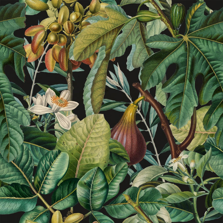 mind-the-gap-figs-and-dates-wallpaper-tropical-wanderlust-collection-tropical-fruits-trees-leaves-rainforest-delicious-maximalist-statement-interior