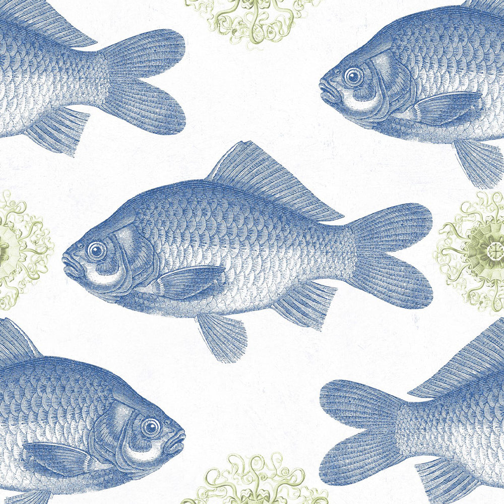 mind-the-gap-wallpaper-fish-blue-and-green-wallpaper-seaside-nautical