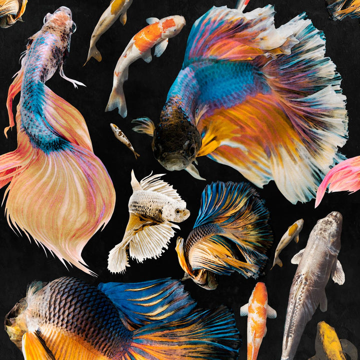 mind-the-gap-goldfish-anthracite-wallpaper-atoll-collection-illustrated-hand-painted-goldfish-maximalist-statement-interior