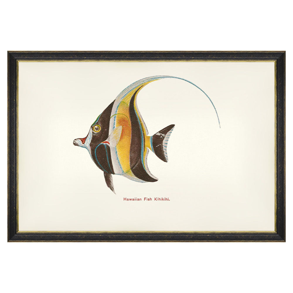 mind the gap kihikihi fish wall art series framed