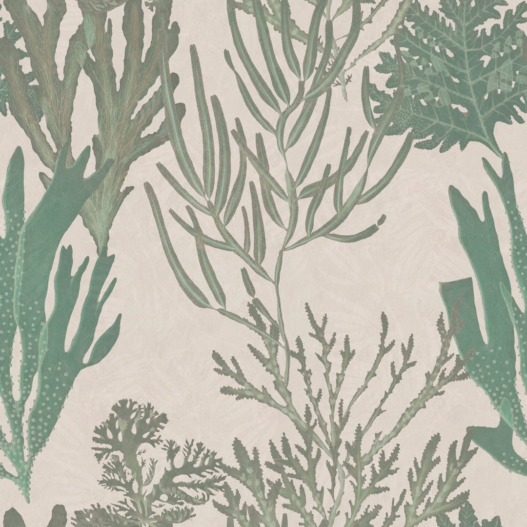 mind-the-gap-light-corals-wallpaper-atoll-collection-green-taupe-natural-organic-statement-by-the-sea-maximalist-interior