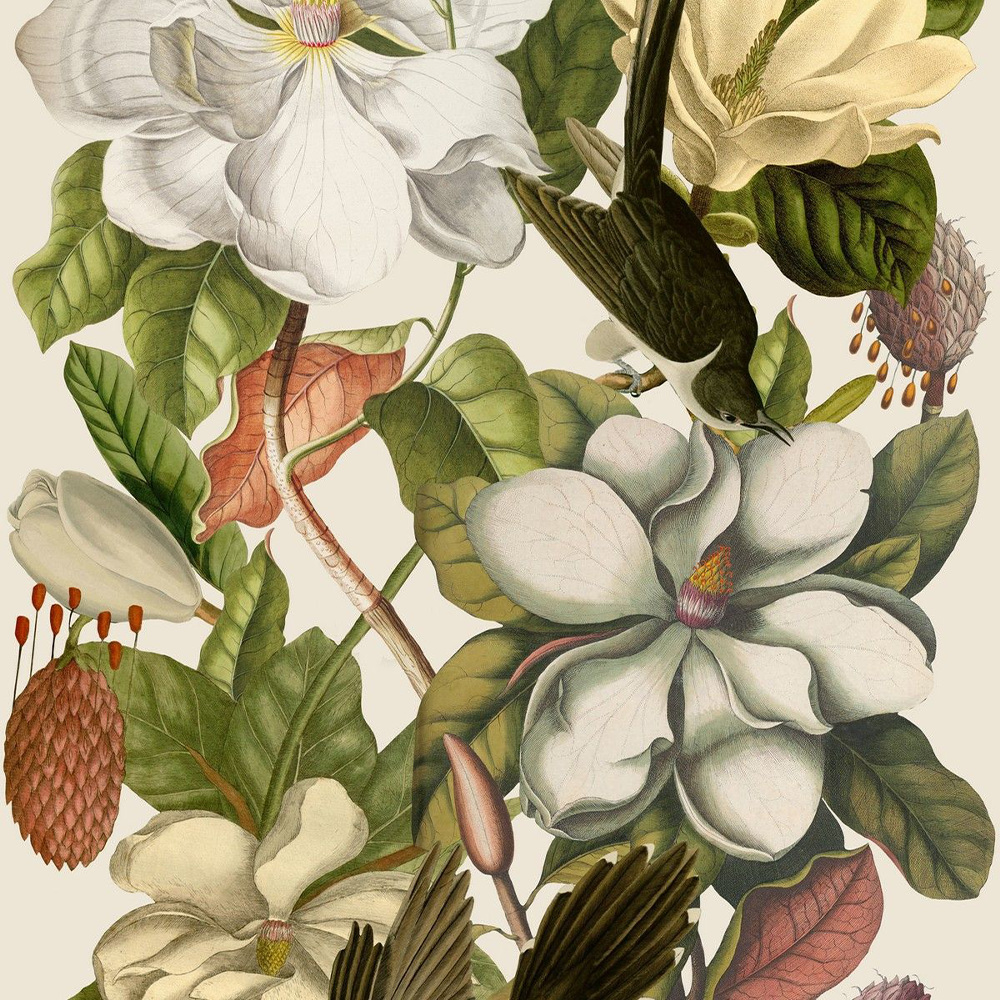 mind-the-gap-magnolia-wallpaper-birds-flowers-stems-vines-leaves-light-background-nature-the-florist-collection
