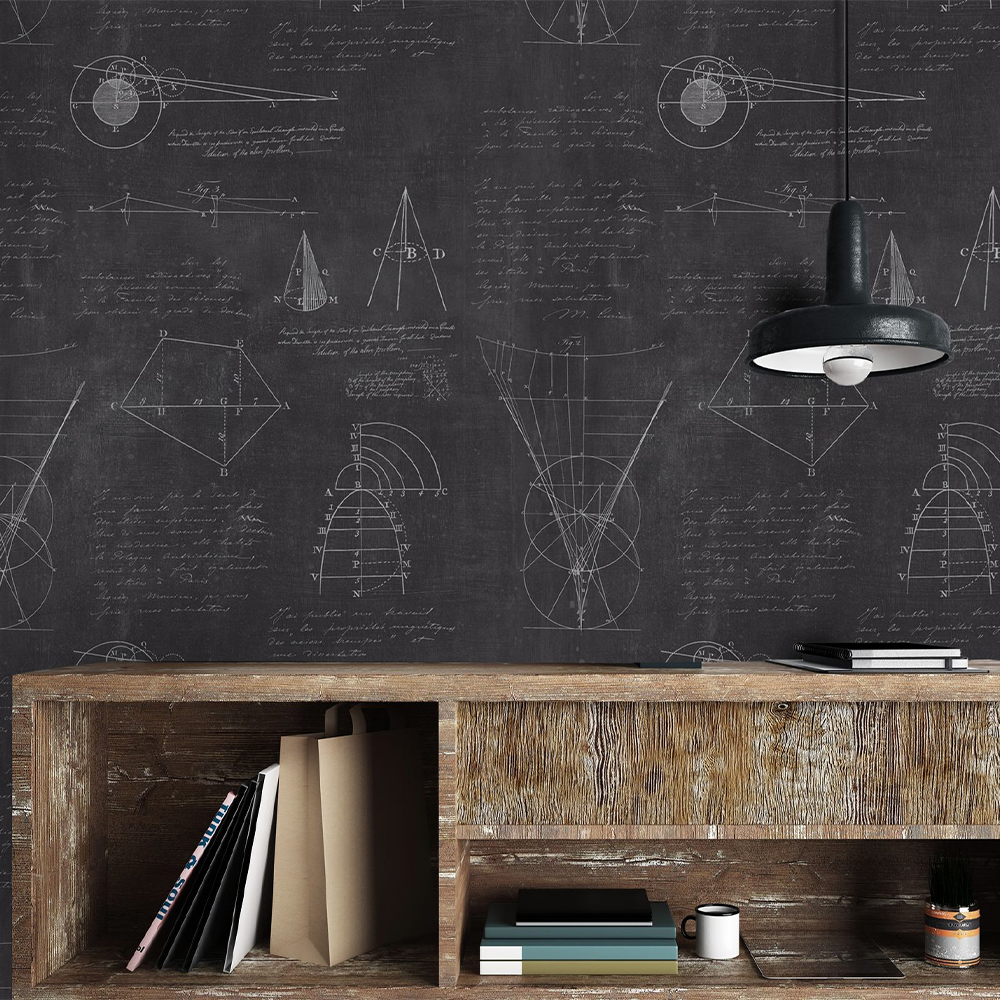 mind-the-gap-newton-geometry-wallpaper-black-white-charcoal-formulas-calculations-by-sir-isaac-newton-room