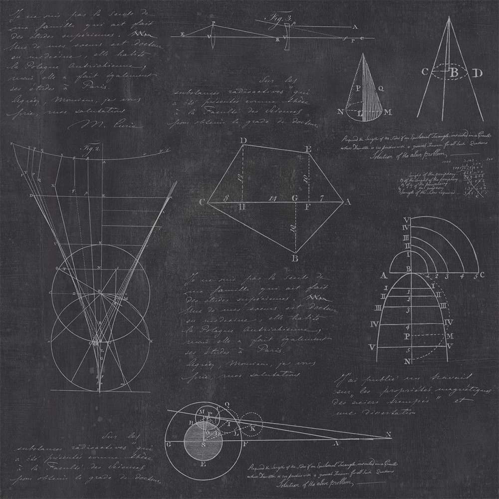 mind-the-gap-newton-geometry-wallpaper-black-white-charcoal-formulas-calculations-by-sir-isaac-newton