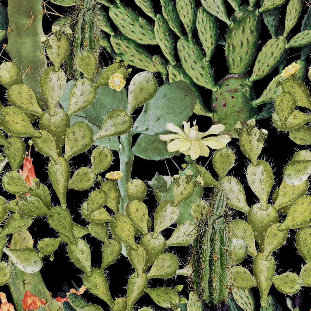 mind-the-gap-opuntia-anthracite-wallpaper-the-rediscovered-paradise-collection-cactus-arrangement