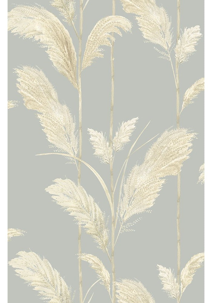 pampas-grass-wallpaper-brand-McKenzie-pattern-featurewall-cornflower-blue