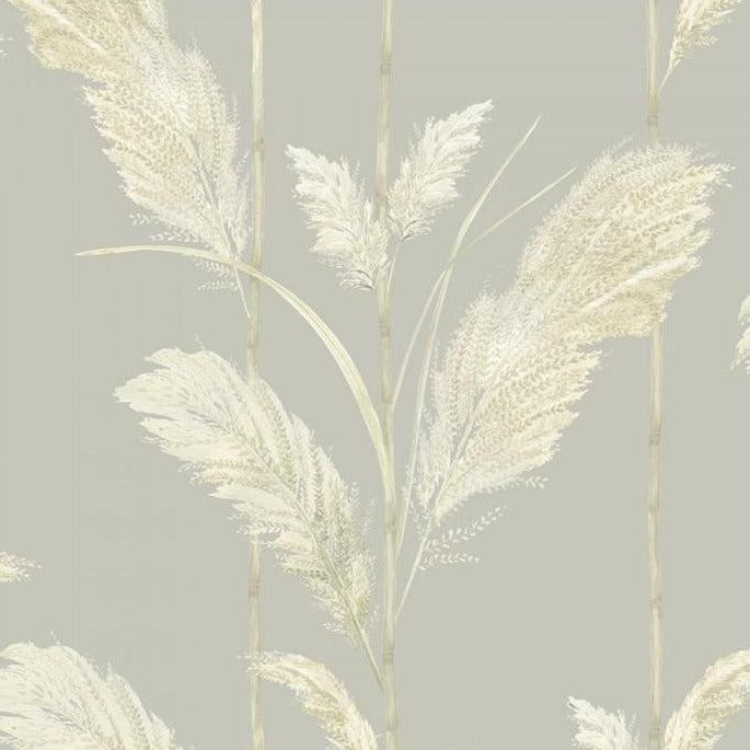 Pampas Grass Wallpaper, Neutral Grey