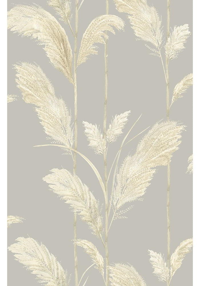 pampas-grass-wallpaper-brand-McKenzie-neutral-grey-feature-bohemian-70's-grass-