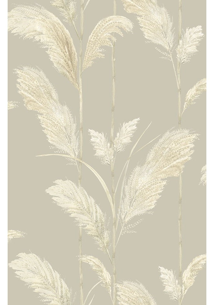 pampas-grass-oatmeal-feature-wallpaper-brand-McKenzie-grassprint-bohemian-70's-biba-