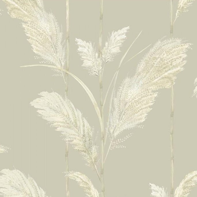 Pampas Grass Wallpaper, Oatmeal